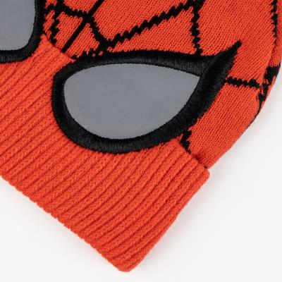 CONJUNTO 2 PIEZAS SPIDERMAN