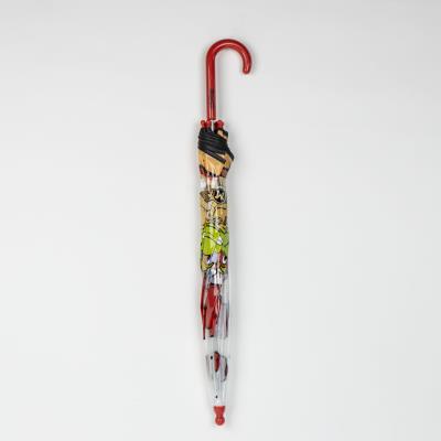 ACCESORIOS LLUVIA PARAGUAS MANUAL POE NINJA TURTLES
