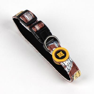 SET PARA MASCOTAS BIENVENIDA HARRY POTTER