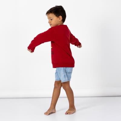 SUDADERA COTTON BRUSHED HOT WHEELS