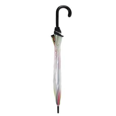 ACCESORIOS LLUVIA PARAGUAS MANUAL POE WICKED - ILUSION SHOP