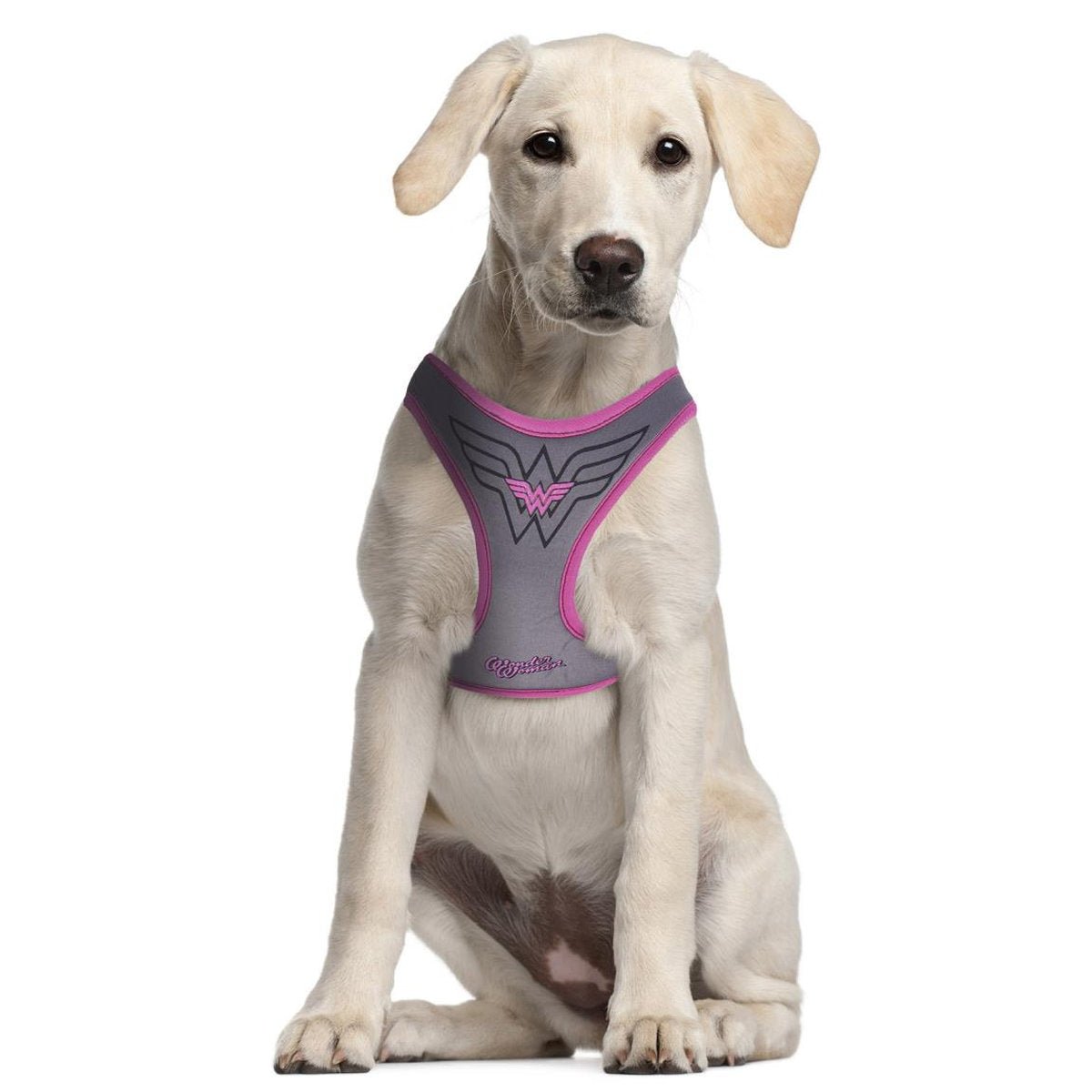 ARNE PARA PERRO M/L WONDER WOMAN