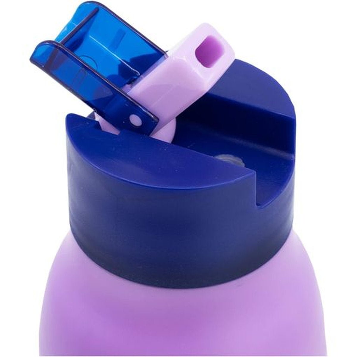 BOTELLA ECOZEN SIPPER PREMIUM 420 ML FROZEN - ILUSION SHOP