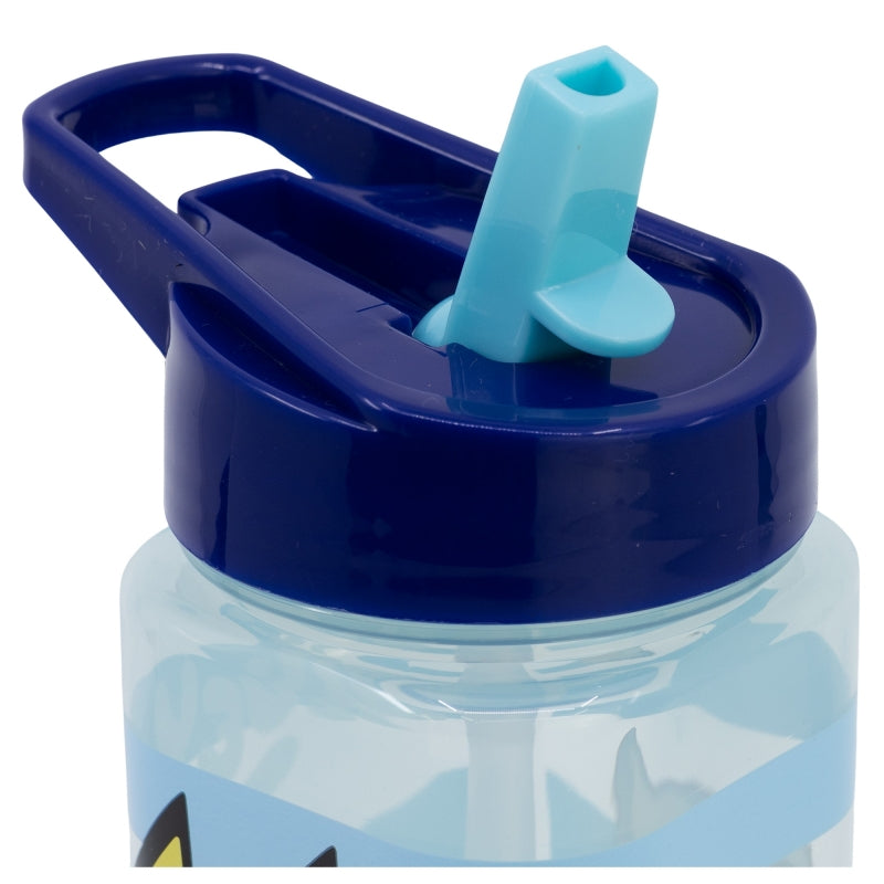 BOTELLA SQUARE 510 ML BLUEY
