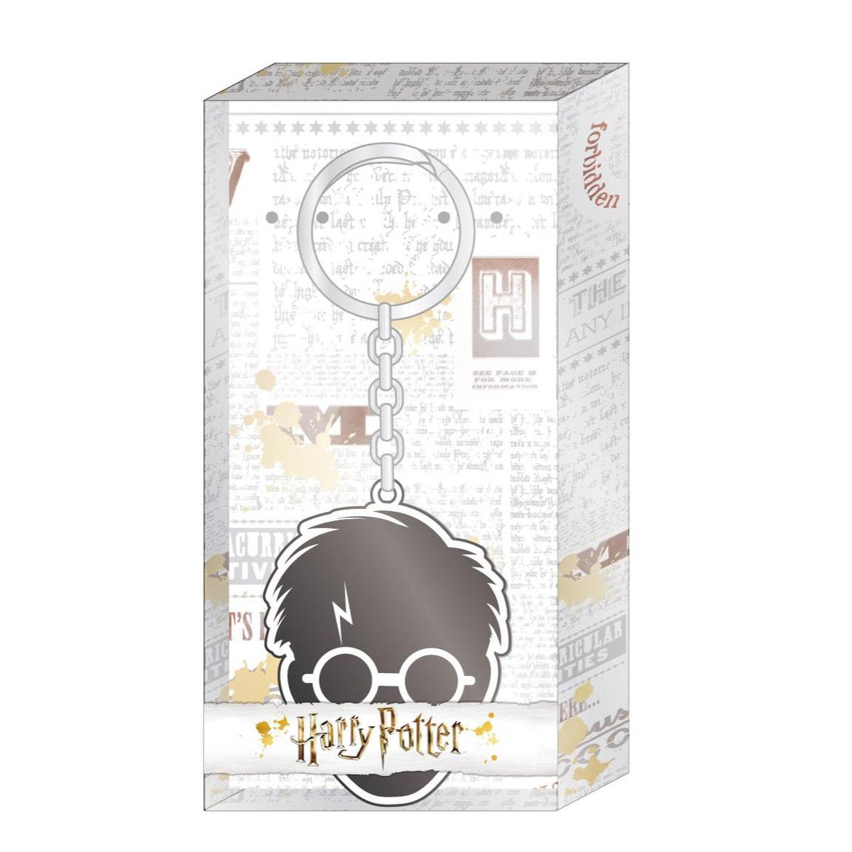 LLAVERO METAL HARRY POTTER CAJA DE ACETATO
