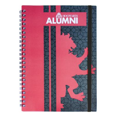 LIBRETA DISPLAY HARRY POTTER