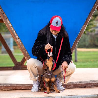 MORDEDOR PARA PERRO TPR MICKEY