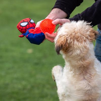 JUGUETE PARA PERRO PELOTA SPIDERMAN