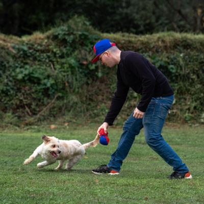 JUGUETE PARA PERRO PELOTA SPIDERMAN