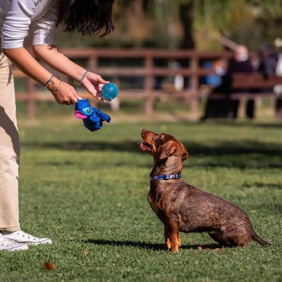 JUGUETE PARA PERRO PELOTA STITCH