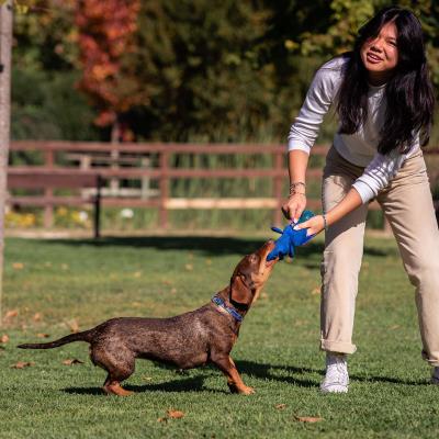 JUGUETE PARA PERRO PELOTA STITCH