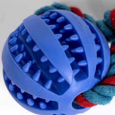 JUGUETE PARA PERRO CUERDA AVENGERS CAPITAN AMERICA