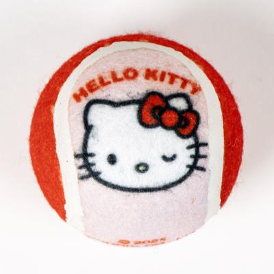 SET PARA MASCOTAS HELLO KITTY