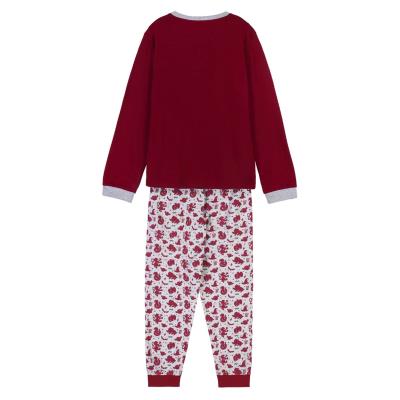 PIJAMA LARGO SINGLE JERSEY HARRY POTTER