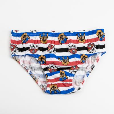 PACK CALZONCILLOS SINGLE JERSEY 5 PIEZAS PAW PATROL