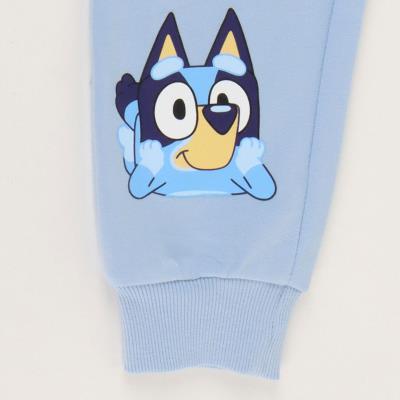 CHANDAL COTTON BRUSHED BLUEY