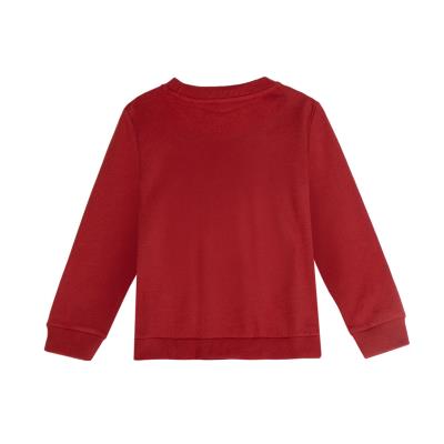 SUDADERA COTTON BRUSHED HOT WHEELS