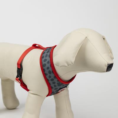 ARNÉS PREMIUM PARA PERROS S/M MINNIE - ILUSION SHOP