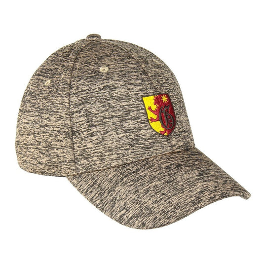 GORRA VISERA CURVA HARRY POTTER - ILUSION SHOP