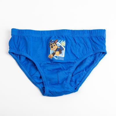PACK CALZONCILLOS SINGLE JERSEY 3 PIEZAS PAW PATROL - ILUSION SHOP