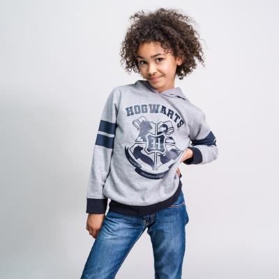SUDADERA CON CAPUCHA COTTON BRUSHED HARRY POTTER - ILUSION SHOP