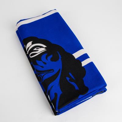 TOALLA MICROFIBRA HARRY POTTER RAVENCLAW - ILUSION SHOP